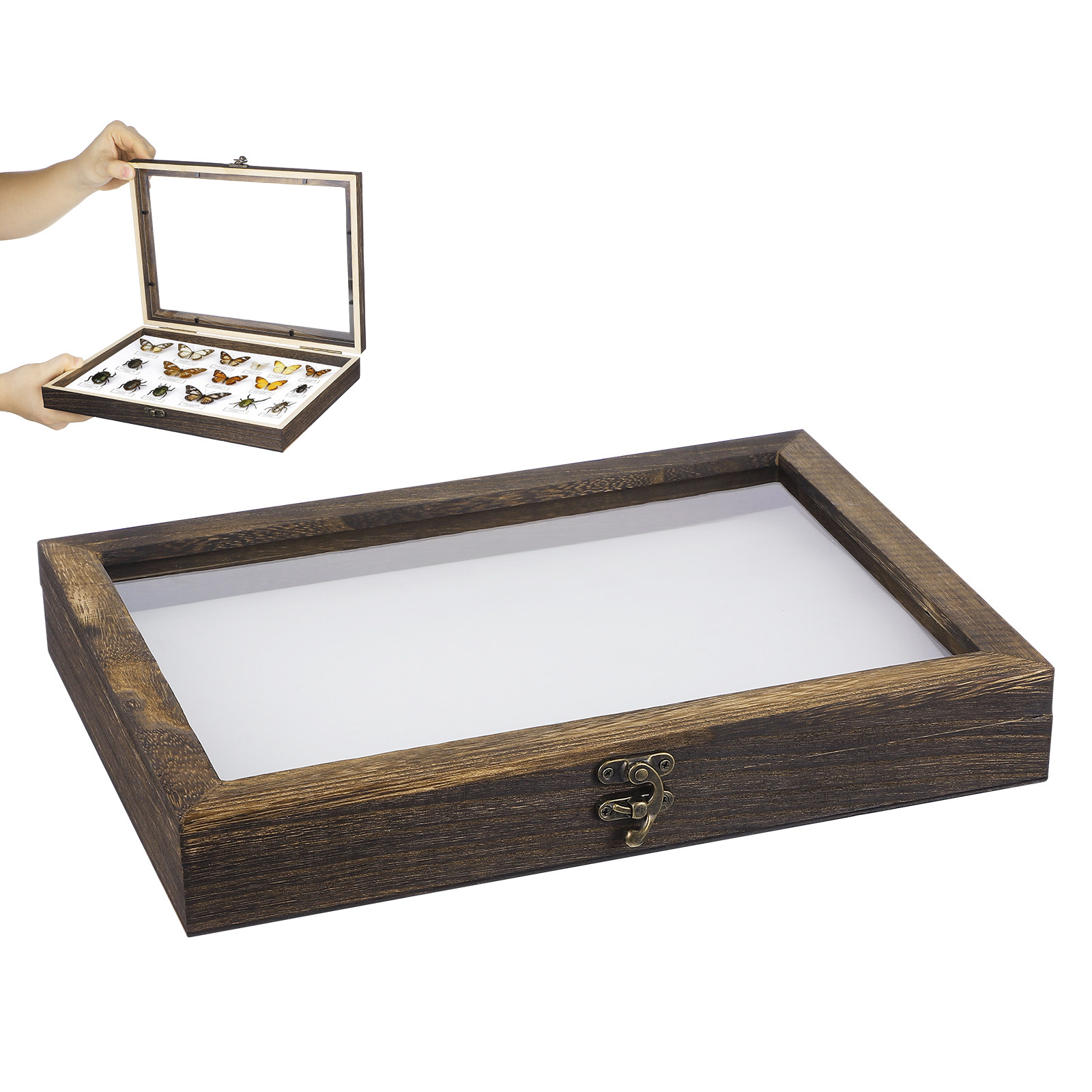 1 Conjunto de Caixa de Exibiçã - Frame Display Wood avaliação e preço