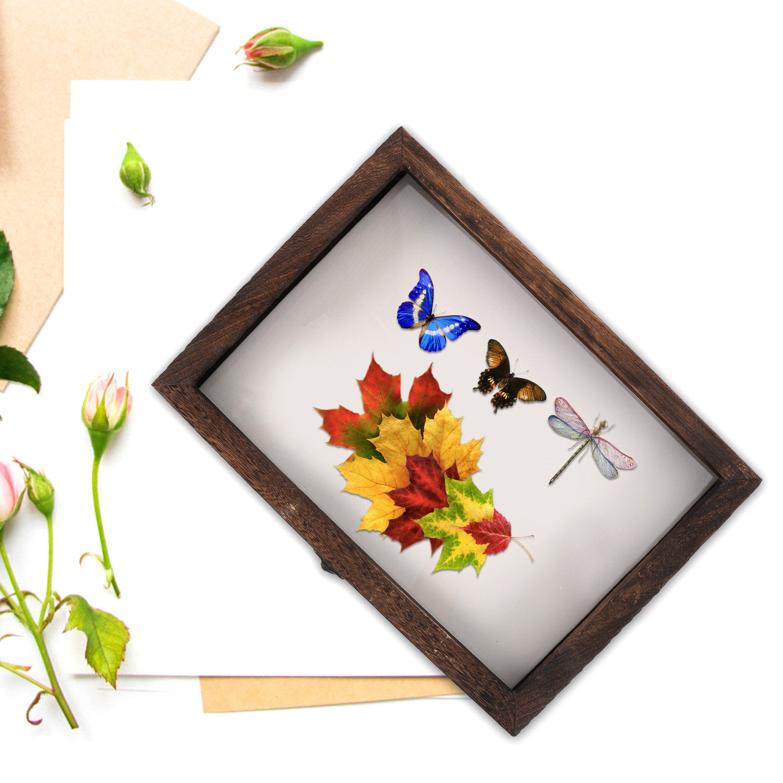 1 Conjunto de Caixa de Exibiçã - Frame Display Wood avaliação e preço