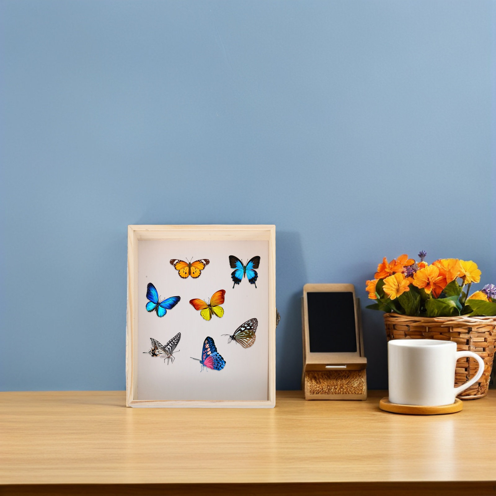 Caixa de Exibição de Insetos e - Frame Display Wood avaliação e preço