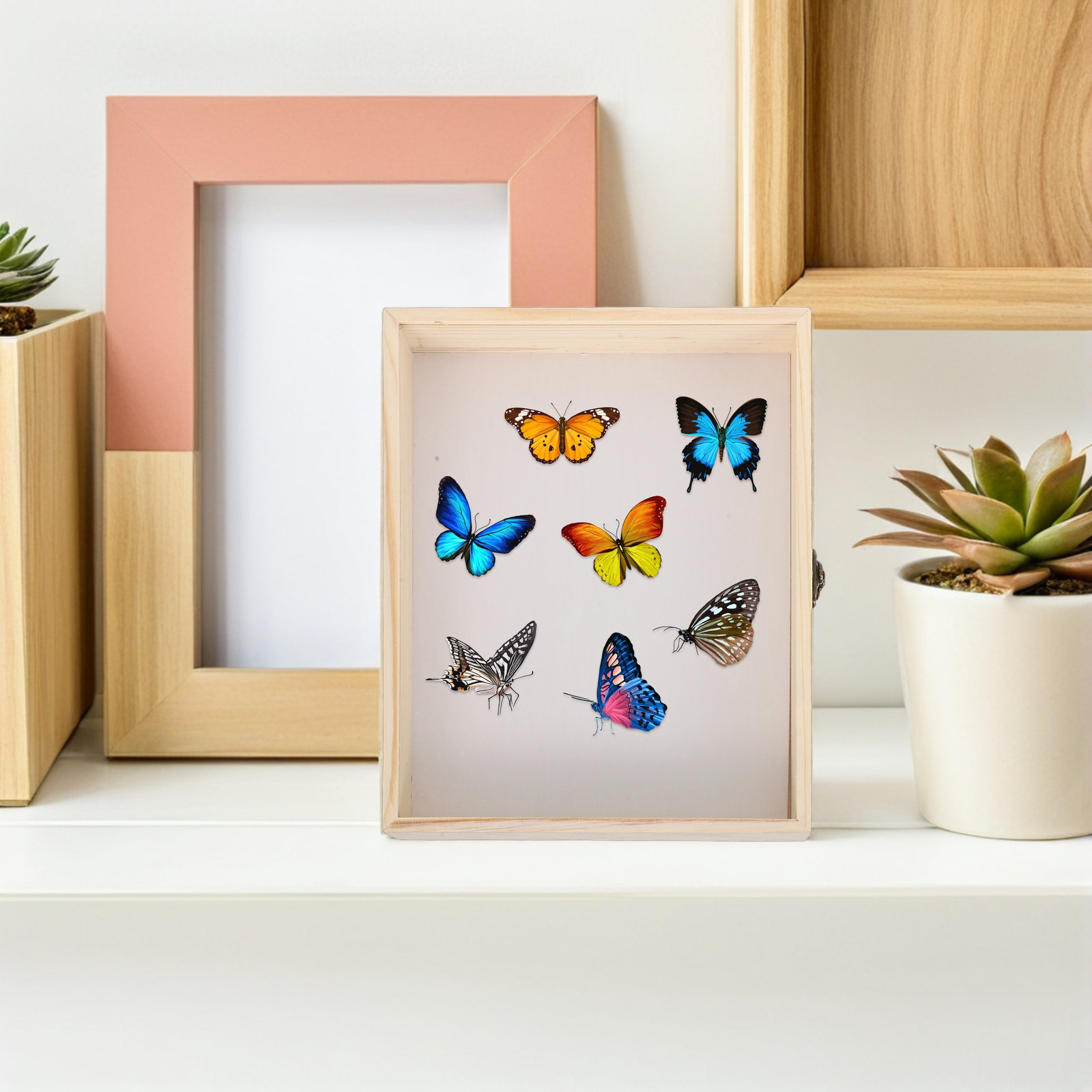 Caixa de Exibição de Insetos e - Frame Display Wood avaliação e preço