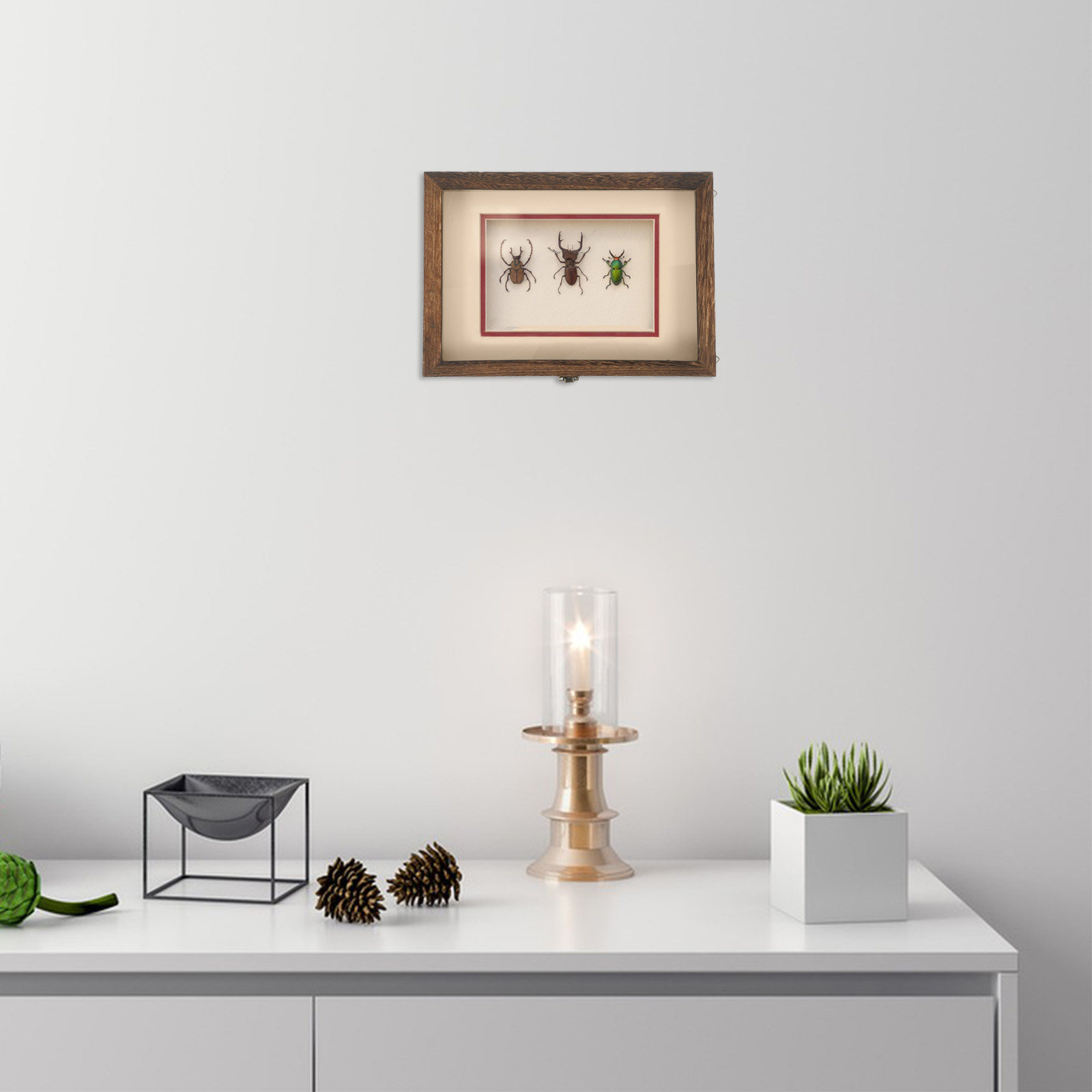1 Conjunto de Caixa de Exibiçã - Frame Display Wood avaliação e preço